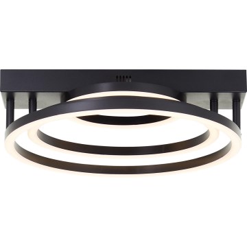 Brilliant - Dimbare LED Plafondlamp PEDLEY LED/36W/230V Zwart