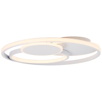 Brilliant - Dimbare LED Plafondlamp RUNDA LED/50W/230V 3000-6500K wit + afstandsbediening