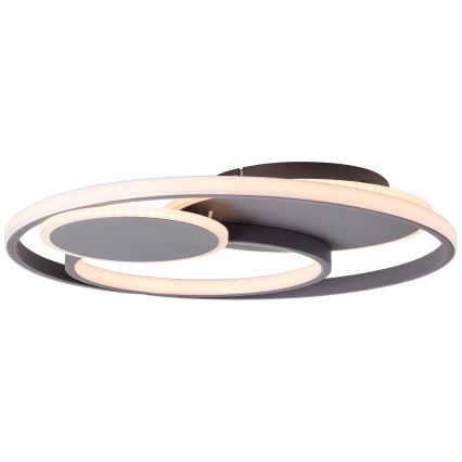 Brilliant - Dimbare LED Plafondlamp RUNDA LED/50W/230V 3000-6500K zwart + afstandsbediening