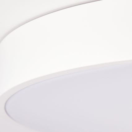 Brilliant - SLIMLINE dimbare LED-plafondlamp LED/60W/230V 3000-6500K Ø 49 cm wit + afstandsbediening