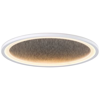 Brilliant - Dimbare LED Plafondlamp TANIDA LED/31W/230V 3000-6500K + afstandsbediening