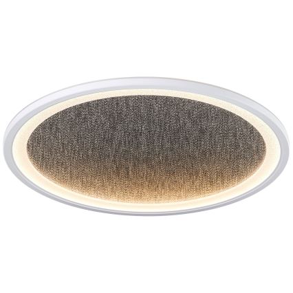 Brilliant - Dimbare LED Plafondlamp TANIDA LED/31W/230V 3000-6500K + afstandsbediening