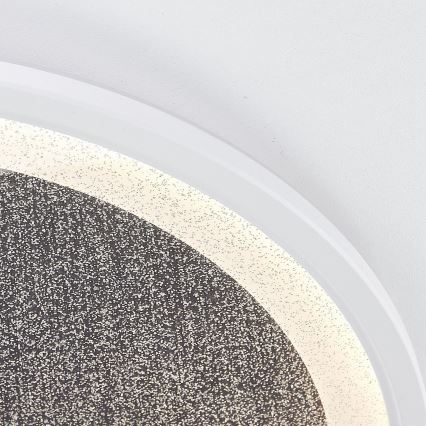 Brilliant - Dimbare LED Plafondlamp TANIDA LED/31W/230V 3000-6500K + afstandsbediening