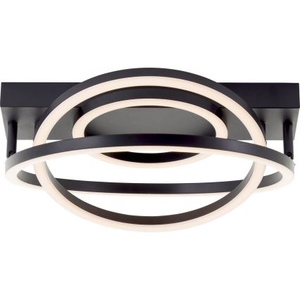 Brilliant - LED Dimbare plafondlamp PEDLEY LED/36W/230V zwart