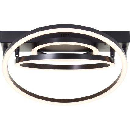 Brilliant - LED Dimbare plafondlamp PEDLEY LED/36W/230V zwart