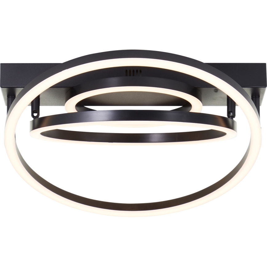 Brilliant - LED Dimbare plafondlamp PEDLEY LED/36W/230V zwart