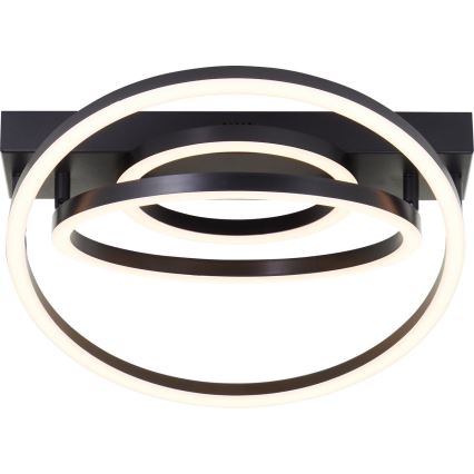 Brilliant - LED Dimbare plafondlamp PEDLEY LED/36W/230V zwart