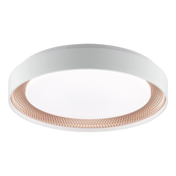Brilliant - LED-dimbare plafondlamp WALDO LED/24W/230V 3000-6500K Ø 38,5 cm wit/roségoud + afstandsbediening