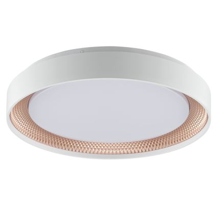 Brilliant - LED-dimbare plafondlamp WALDO LED/24W/230V 3000-6500K Ø 38,5 cm wit/roségoud + afstandsbediening