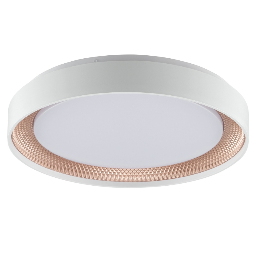 Brilliant - LED-dimbare plafondlamp WALDO LED/24W/230V 3000-6500K Ø 38,5 cm wit/roségoud + afstandsbediening