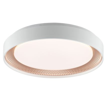 Brilliant - LED-dimbare plafondlamp WALDO LED/24W/230V 3000-6500K Ø 38,5 cm wit/roségoud + afstandsbediening