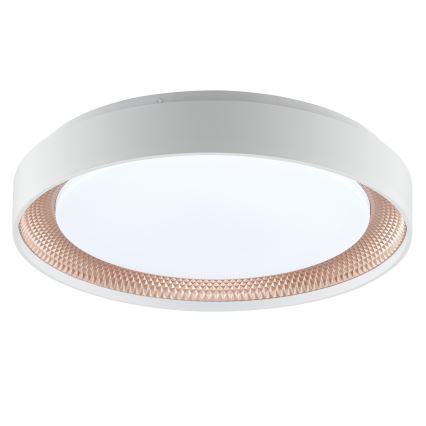 Brilliant - LED-dimbare plafondlamp WALDO LED/24W/230V 3000-6500K Ø 38,5 cm wit/roségoud + afstandsbediening