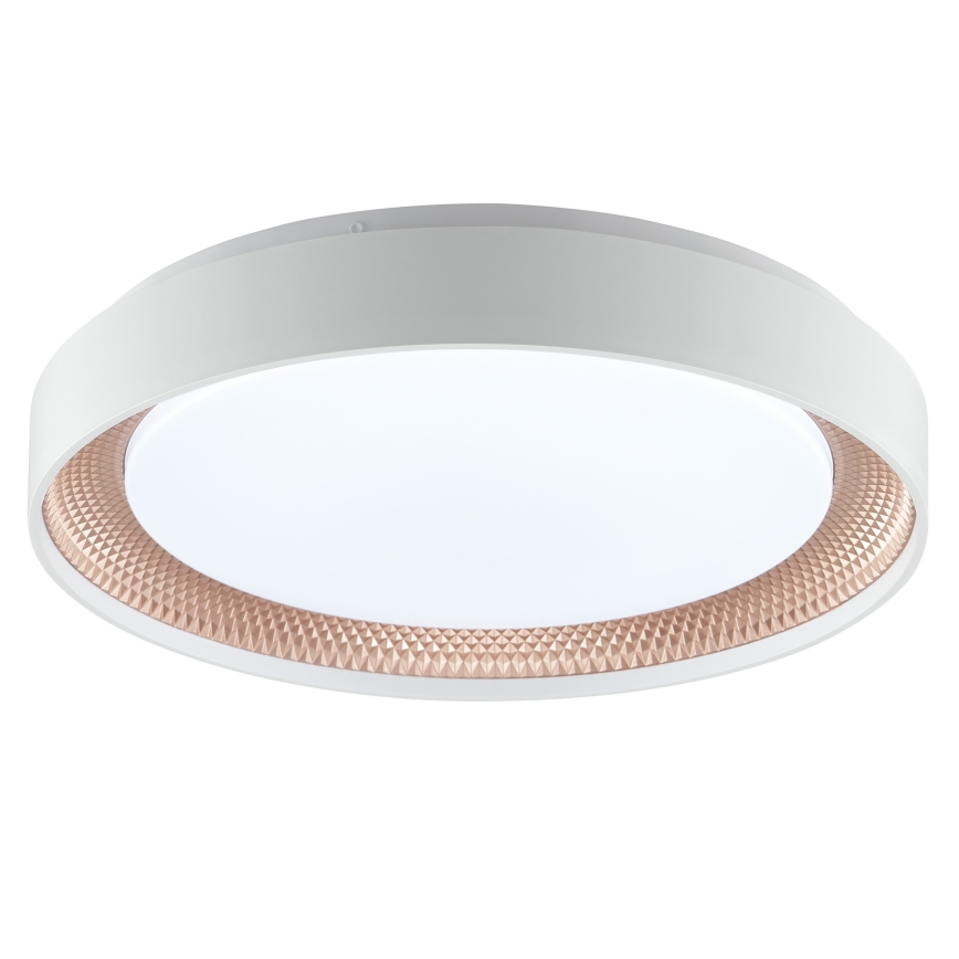 Brilliant - LED-dimbare plafondlamp WALDO LED/24W/230V 3000-6500K Ø 38,5 cm wit/roségoud + afstandsbediening