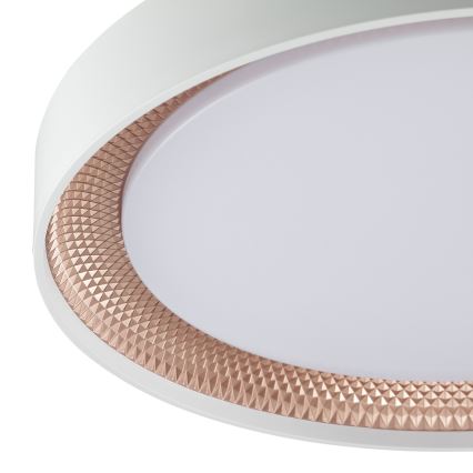 Brilliant - LED-dimbare plafondlamp WALDO LED/24W/230V 3000-6500K Ø 38,5 cm wit/roségoud + afstandsbediening