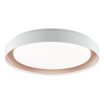 Brilliant - LED-dimbare plafondlamp WALDO LED/36W/230V 3000-6500K Ø 48,5 cm wit/roségoud + afstandsbediening