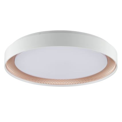 Brilliant - LED-dimbare plafondlamp WALDO LED/36W/230V 3000-6500K Ø 48,5 cm wit/roségoud + afstandsbediening