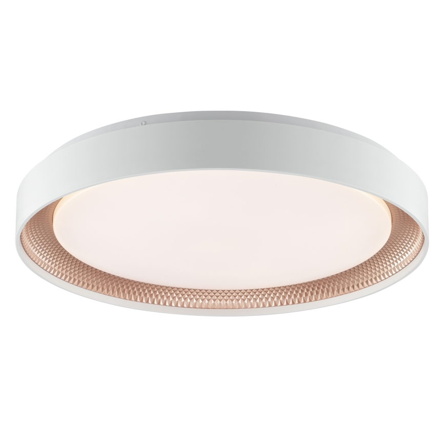 Brilliant - LED-dimbare plafondlamp WALDO LED/36W/230V 3000-6500K Ø 48,5 cm wit/roségoud + afstandsbediening
