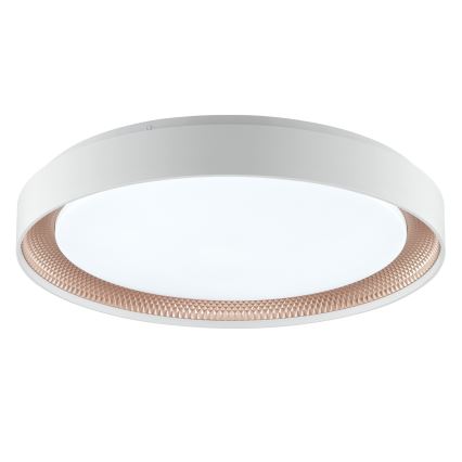 Brilliant - LED-dimbare plafondlamp WALDO LED/36W/230V 3000-6500K Ø 48,5 cm wit/roségoud + afstandsbediening