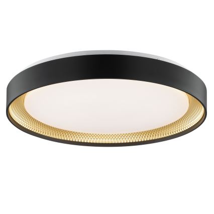 Brilliant - Dimbare LED-plafondlamp WALDO LED/36W/230V 3000-6500K Ø 48,5 cm zwart/goud + afstandsbediening