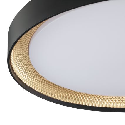 Brilliant - Dimbare LED-plafondlamp WALDO LED/36W/230V 3000-6500K Ø 48,5 cm zwart/goud + afstandsbediening