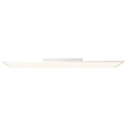 Brilliant - LED Paneel CHARLA LED/40W/230V 29,5x119,5 cm 2700K