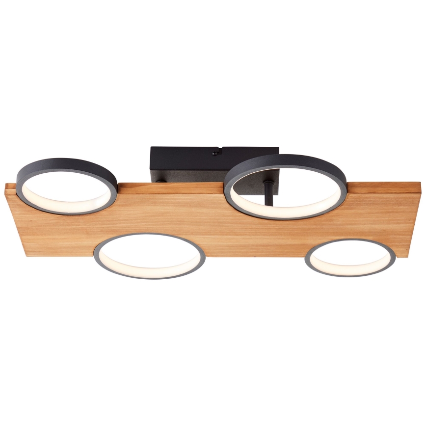 Brilliant - LED Plafondlamp CHEESY LED/28W/230V grenen - FSC gecertificeerd