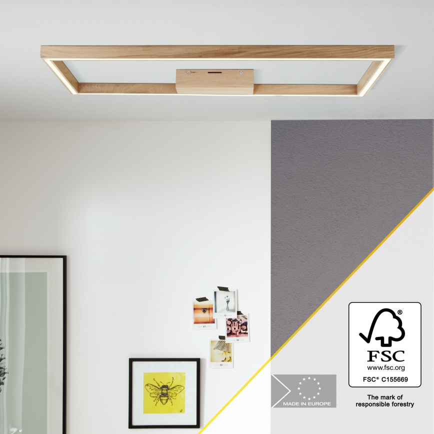 Brilliant - LED plafondlamp DELGROSSO LED/24W/230V 3000K eiken