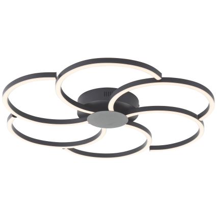 Brilliant - Dimbare LED Plafondlamp FICO LED/32W/230V 3000-6500K diameter 65 cm zwart + afstandsbediening