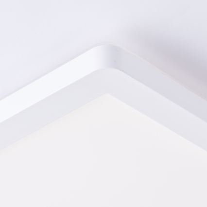 Brilliant - LED plafondlamp MILTON LED/24W/230V 42x42 cm wit