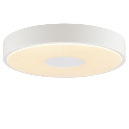 Brilliant - LED-plafondlamp RAKIN LED/18W/230V Ø 33,5 cm wit