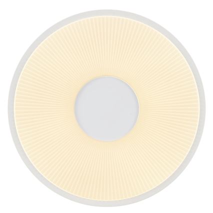 Brilliant - LED-plafondlamp RAKIN LED/18W/230V Ø 33,5 cm wit