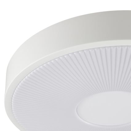 Brilliant - LED-plafondlamp RAKIN LED/18W/230V Ø 33,5 cm wit