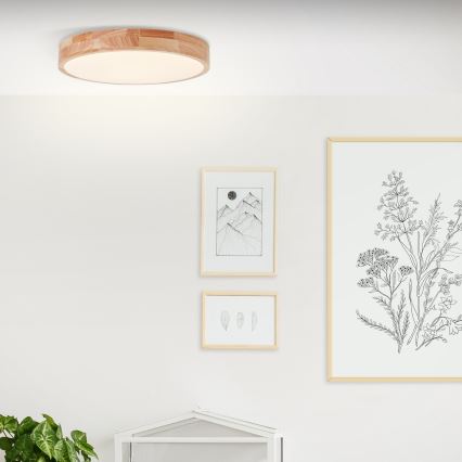 Brilliant - LED-plafondlamp SLIMLINE LED/22W/230V Ø 39 cm rubberboom