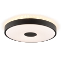 Brilliant - LED plafondlamp TAVIS LED/24W/230V Ø 44,5 cm zwart