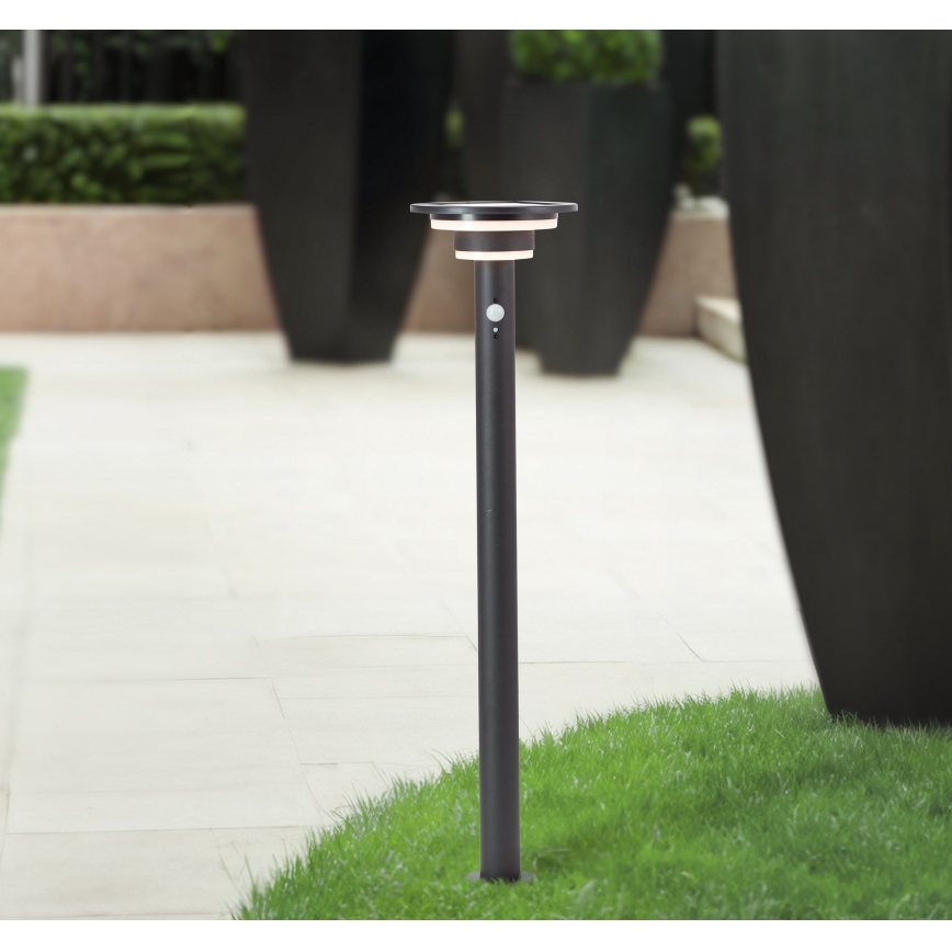Brilliant - LED Solar lamp met sensor GARVINA LED/3W/3,7V 2000 mAh 85 cm IP44 zwart