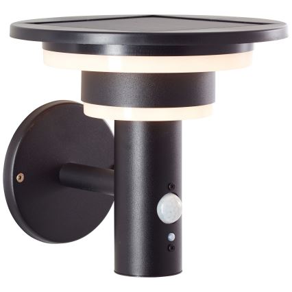 Brilliant - LED Solar wandlamp met sensor GARVINA LED/3W/3,7V IP44 zwart