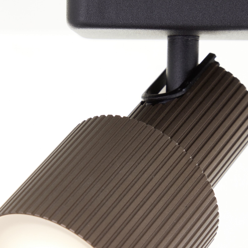Brilliant - LED Spot CADIZ 3xGU10/5W/230V brons