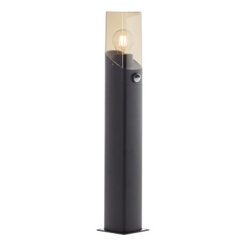 Brilliant - Sensorlamp voor buiten MINOU 1xE27/10W/230V IP44 zwart/gerookt