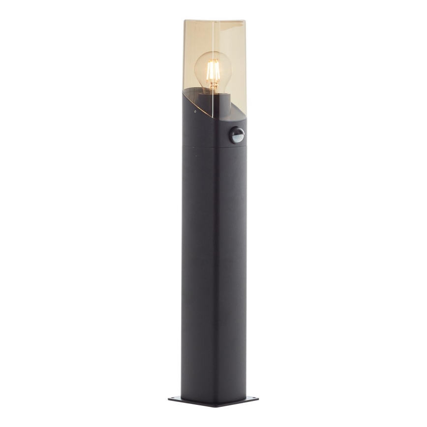 Brilliant - Sensorlamp voor buiten MINOU 1xE27/10W/230V IP44 zwart/gerookt