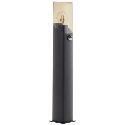 Brilliant - Sensorlamp voor buiten MINOU 1xE27/10W/230V IP44 zwart/gerookt