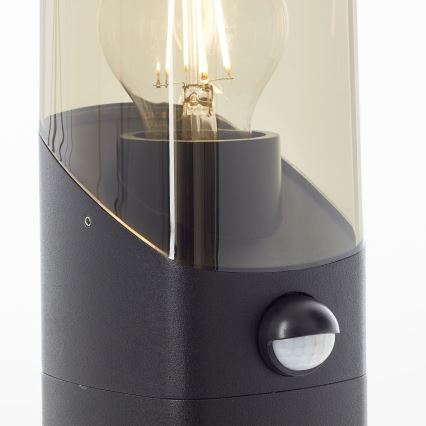 Brilliant - Sensorlamp voor buiten MINOU 1xE27/10W/230V IP44 zwart/gerookt