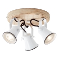 Brilliant - Spotlamp SEED 3xGU10/5W/230V wit/beige