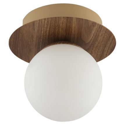 Brilliant - Wandlamp STUART 1xG9/10W/230V bruin