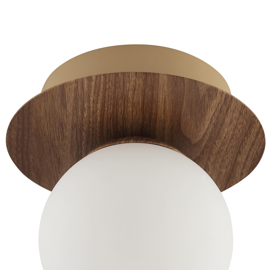 Brilliant - Wandlamp STUART 1xG9/10W/230V bruin