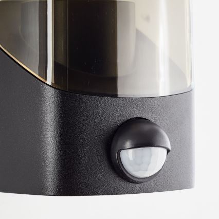 Brilliant - Wandlamp voor buiten met sensor MINOU 1xE27/10W/230V IP44 zwart/gerookt