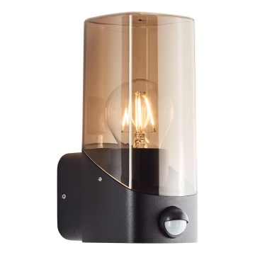 Brilliant - Wandlamp voor buiten met sensor MINOU 1xE27/10W/230V IP44 zwart/gerookt