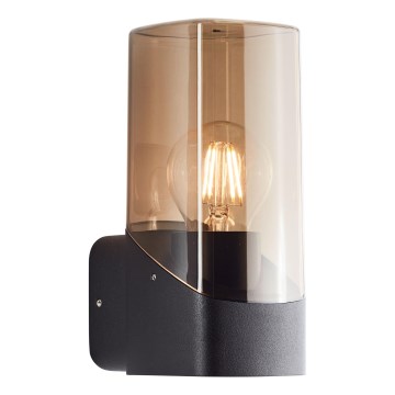 Brilliant - Wandlamp voor buiten MINOU 1xE27/10W/230V IP44 zwart/gerookt
