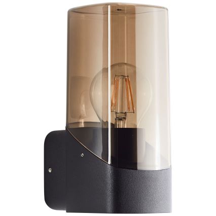 Brilliant - Wandlamp voor buiten MINOU 1xE27/10W/230V IP44 zwart/gerookt