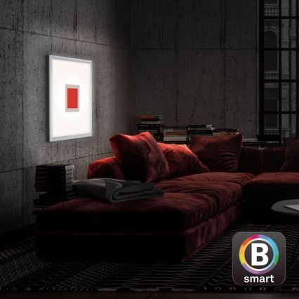 Brilo - Dimbare LED RGB plafondlamp CENTRO LED/24W/230V 2700-6500K Wi-Fi Tuya + afstandsbediening