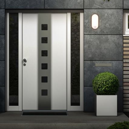 Brilo - LED buitenmuurlamp met bewegings- en schemersensor RUCH LED/12W/230V IP65 zwart